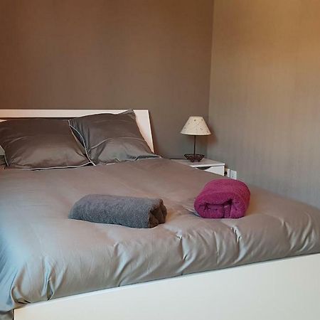 Appartement T3 A Belley Au Calme Avec Jardin Privatif Exterior foto